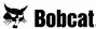 Bobcat